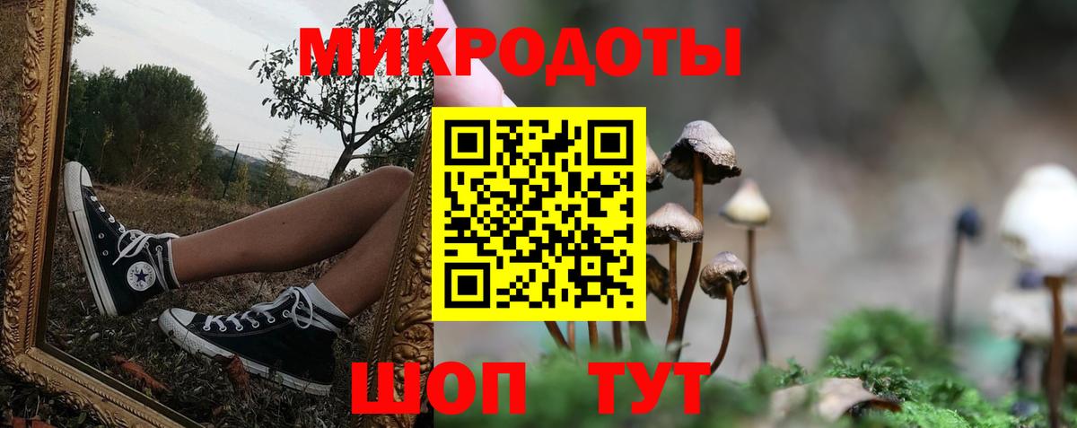 купить   Псилоцибиновые грибы прущие грибы  Вход с VPN  Красноармейск 