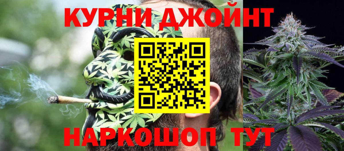 Каннабис OG Kush Красноармейск